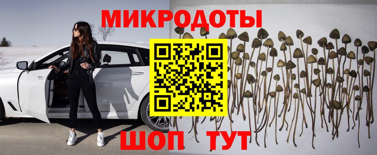 Галлюциногенные грибы GOLDEN TEACHER  Вход с VPN  Саянск 
